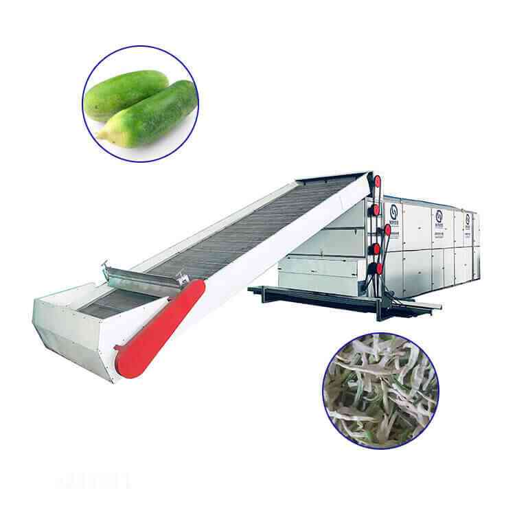 radish continuous mesh belt dryer